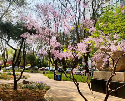 北京工商大学国际教育学院