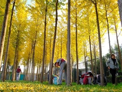 树人·瑞贝学校照片32