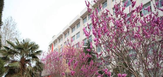 平顶山财经学校