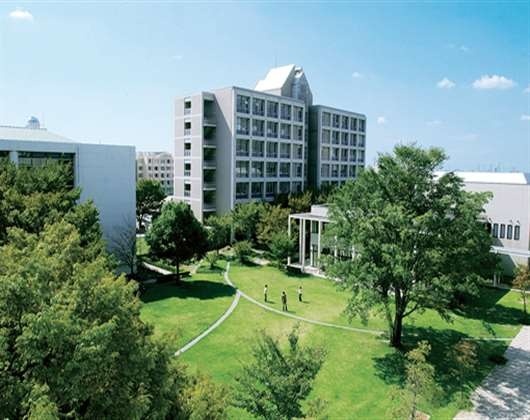 爱知学泉大学