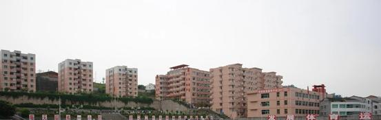 截图_20211116125500