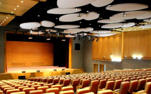 西咸新区空港枫叶国际学校