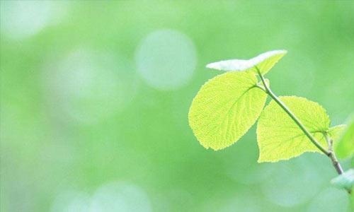 自卑不会说话怎么办