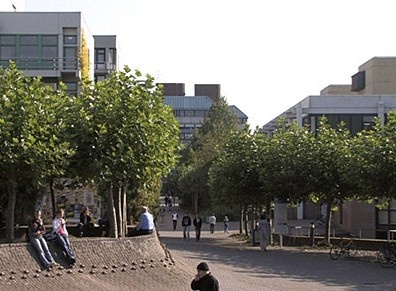 杜塞尔多夫大学