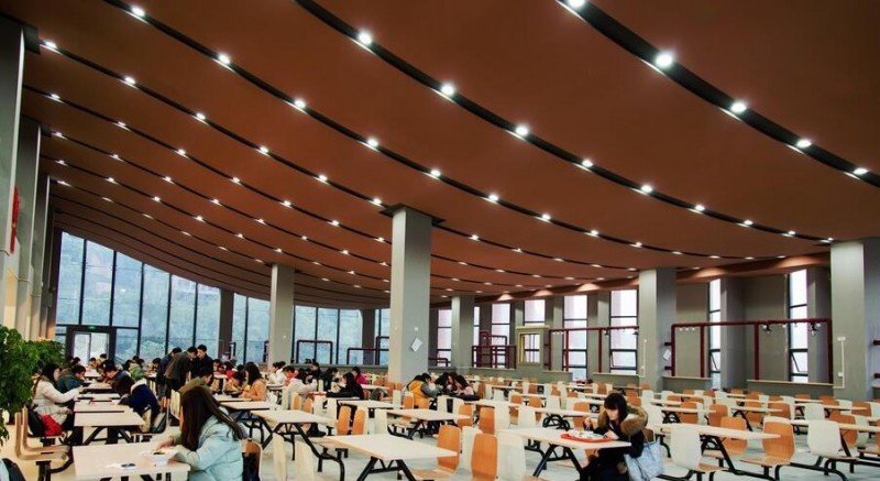 重庆艺术工程职业学院