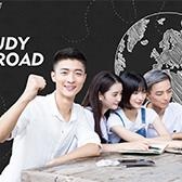 讲练结合