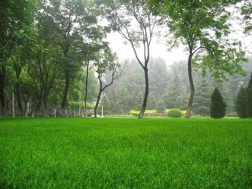 北京航空航天大学校园一角