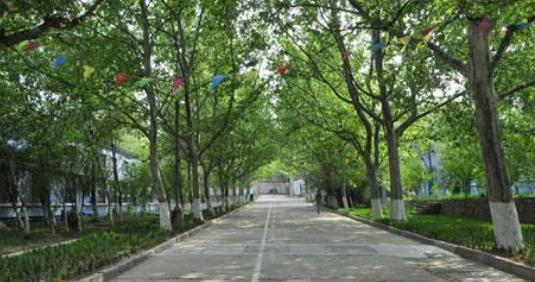 自贡电子信息职业技术学校