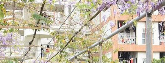 湛江市工商职业技术学校