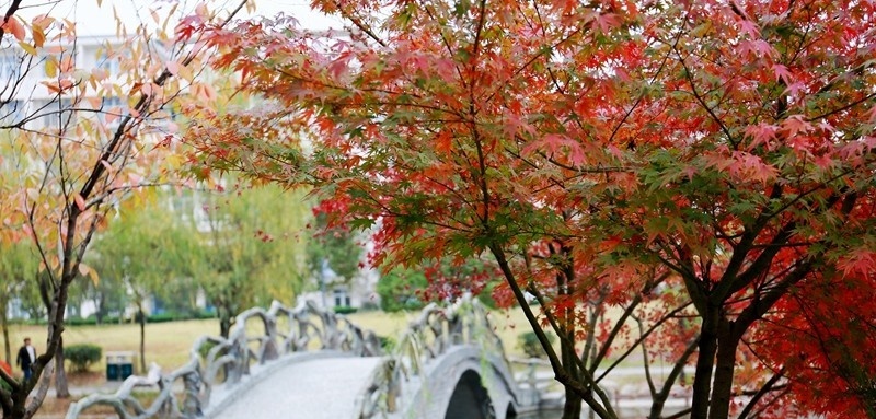 合肥财经职业学院单招报名时间