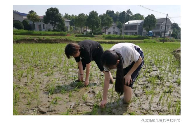 弘益剑桥国际高中