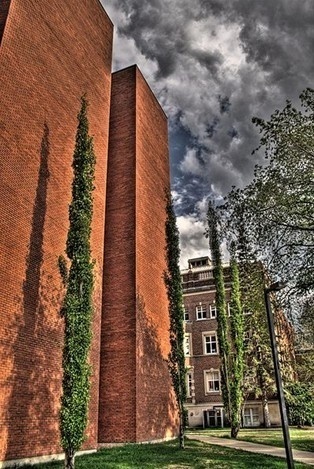 阿尔伯塔大学