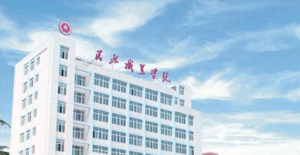 武汉民政职业学院2