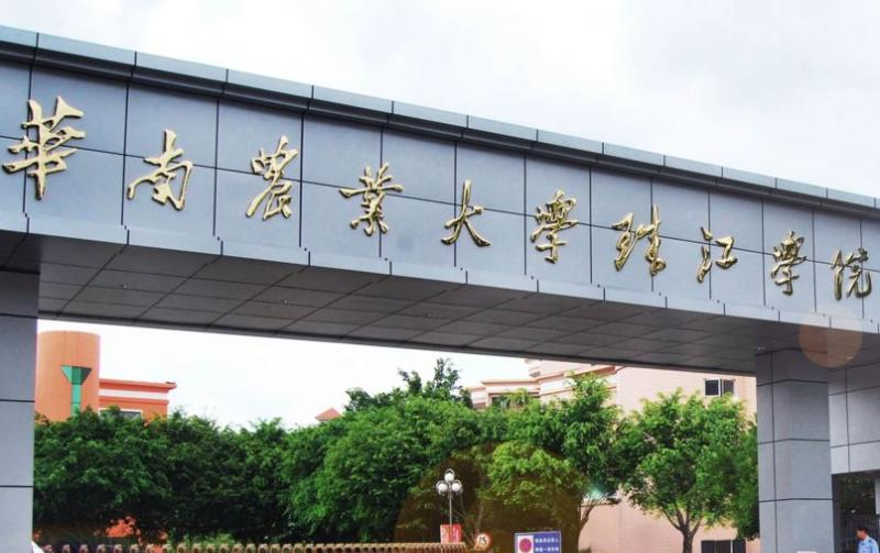 华南农业大学珠江学院是不是985大学？