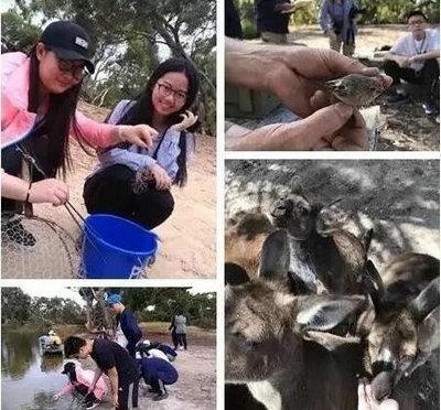 你有一份上外A-Level国际高中2017回忆大礼包待查收!(2月)