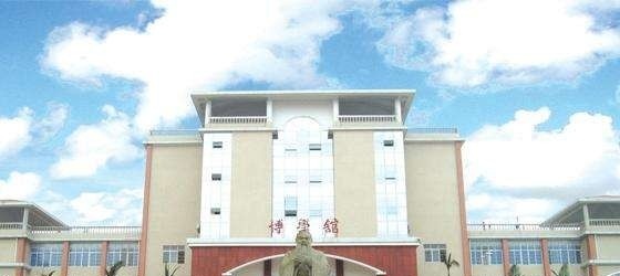 重庆城市职业学院2019年单招录取分数线