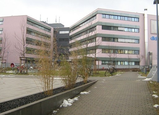 海德堡师范大学