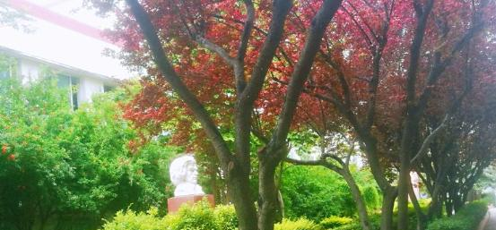 河南平顶山外国语学校