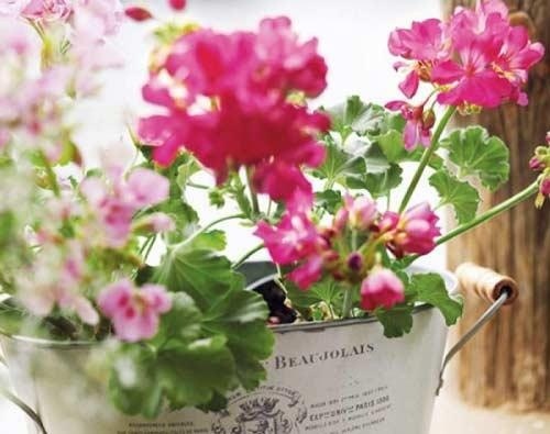 热爱祖国演讲稿