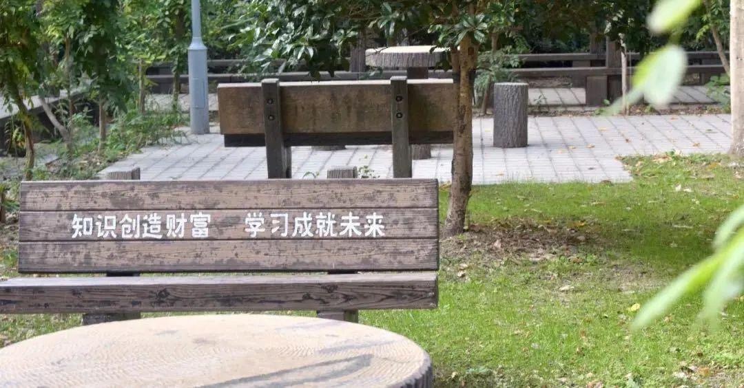 月华楼后花园.jpg