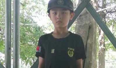 行为习惯训练