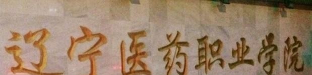 辽宁医药职业学院单招