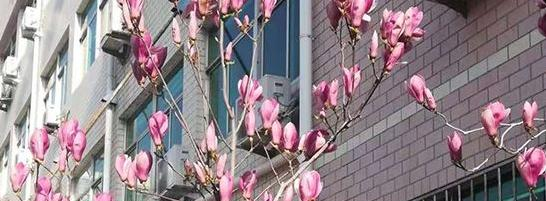 山东烟台护士学校2022年宿舍条件