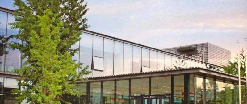 成都青苗国际双语学校小学部