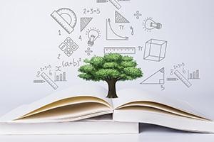 天津美达菲国际学校