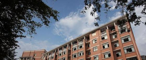 截图20200415143838