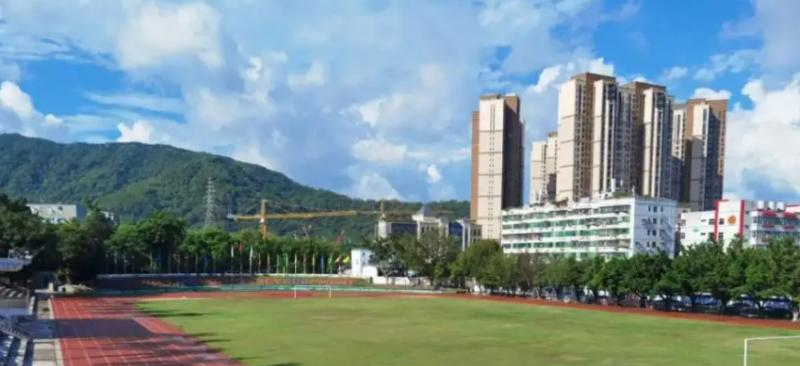 深圳石岩公学学校国际部小学2023年招生政策2