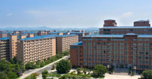 广东文理职业学院是几专