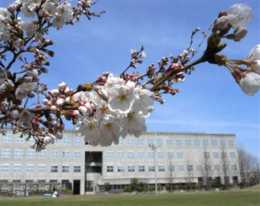 东京医疗保健大学