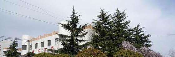 登封中等专业学校