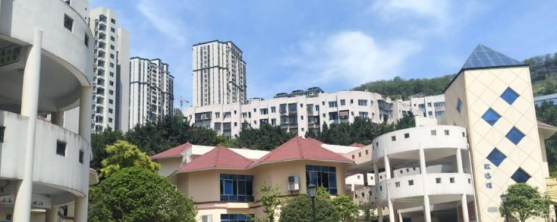 重庆万州赛德国际学校初中部2023年招生政策