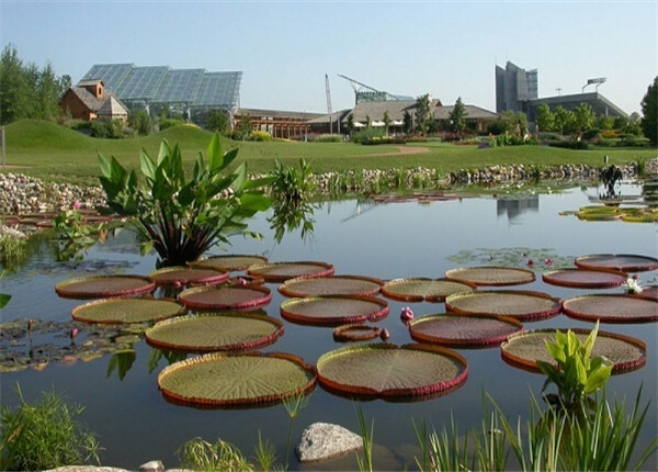 爱荷华州立大学