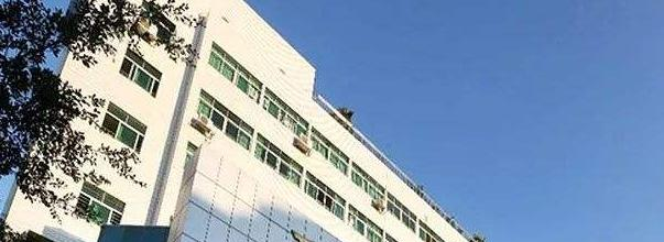 深圳石岩公学国际部小学2023年报名条件、招生要求、招生对象