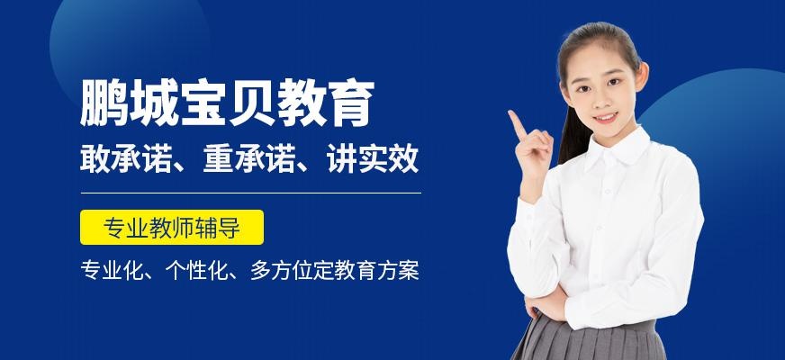 鹏城宝贝教育
