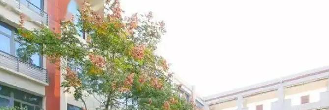 南京金陵中学国际部2023年入学考试2