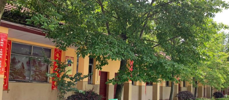 截图20200609090818