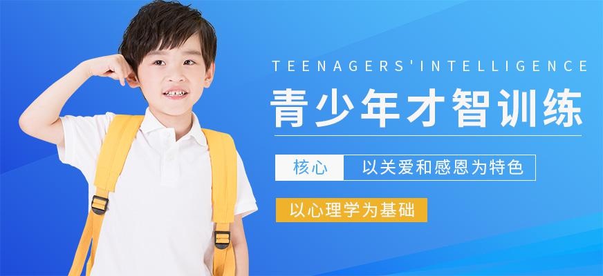 新励成培训机构青少年才智领袖班