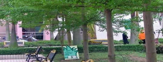 茂名建设中等专业学校6