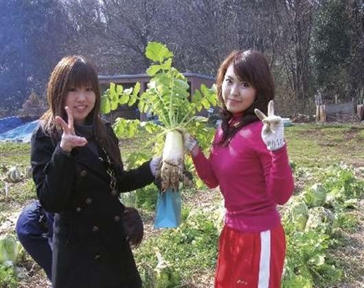 惠泉女学园大学