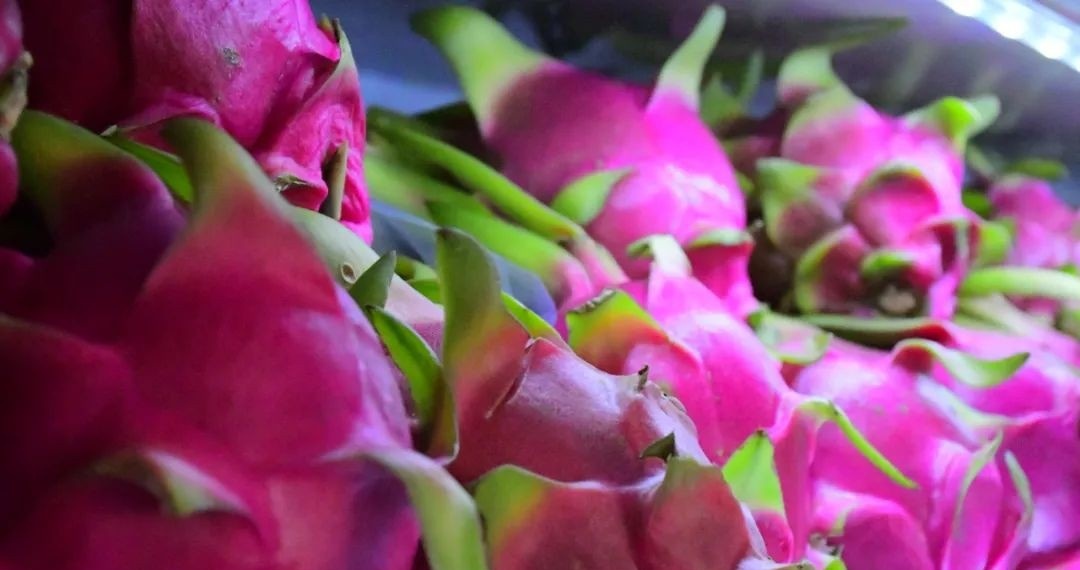 石家庄军兴信息工程学校