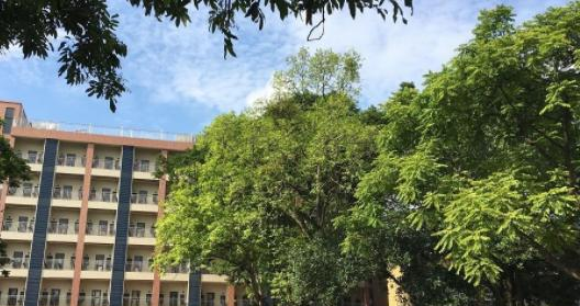 广东省电子商务技师学院2020年有哪些专业