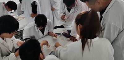 课堂交流