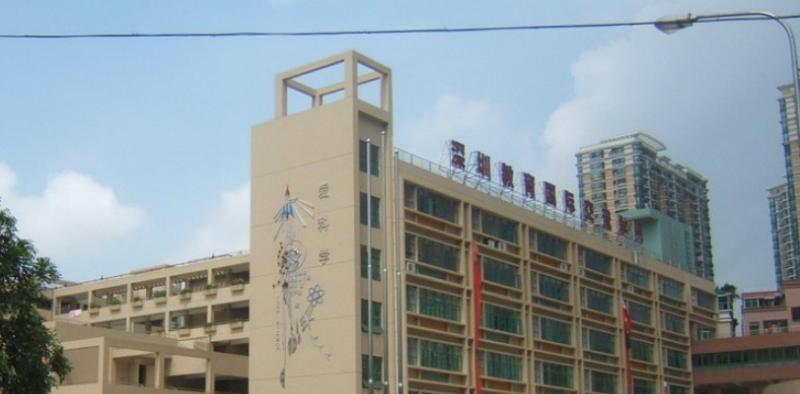深圳国际交流学院2023年报名条件、招生要求、招生对象