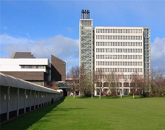 阿尔斯特大学