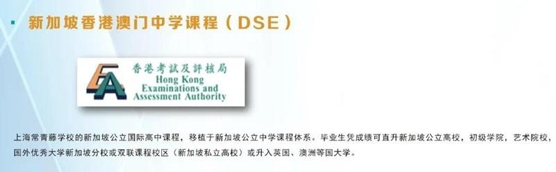 dse.jpg