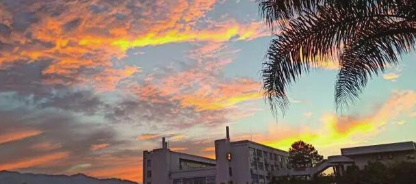 广东松山职业技术学院2020年学费、收费多少